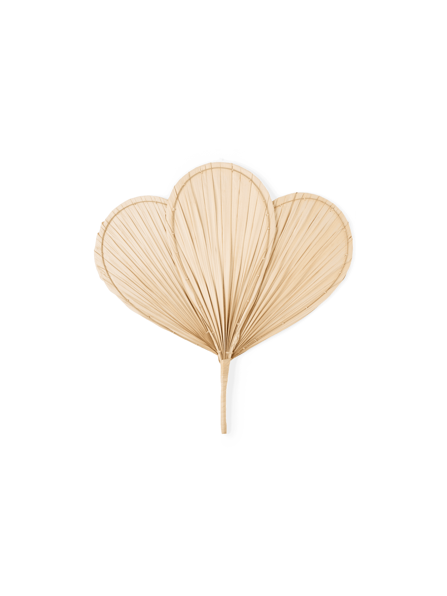 Dekorationsvifte palmeblad